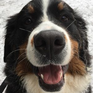 Meet your Posher, Tracie